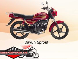 Dayun Sprout Motorcycle Price in Bangladesh Showroom Review Features