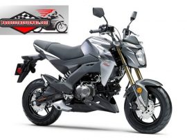 Kawasaki Z125 Motorcycle Price in Bangladesh and Full Specification